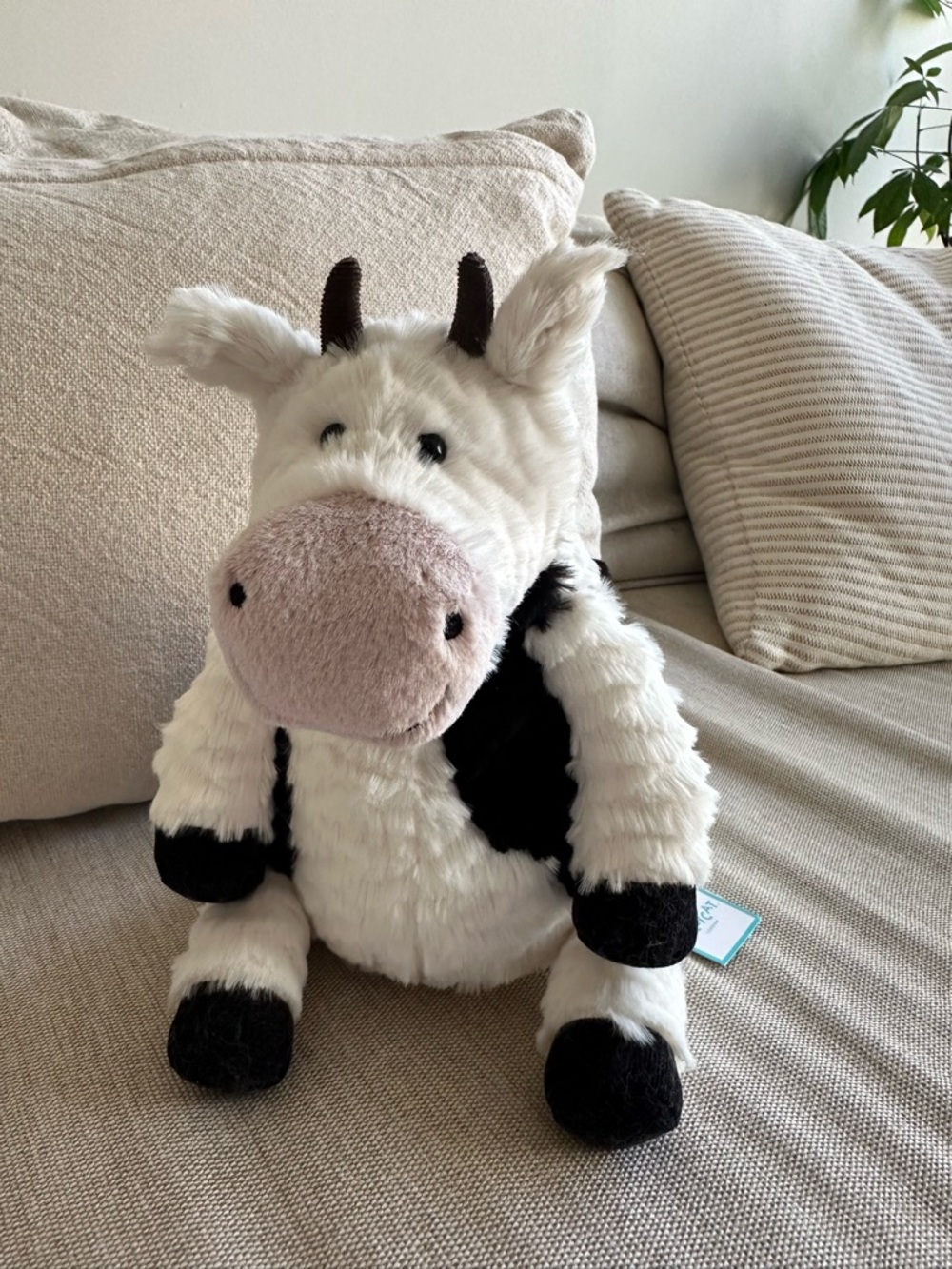 Jellycat Mooliet Cow
